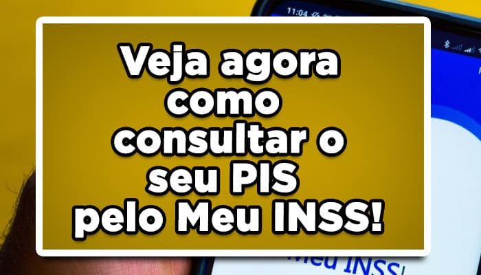 Veja Agora Como Consultar O Seu PIS Pelo Meu INSS Jo o Financeira